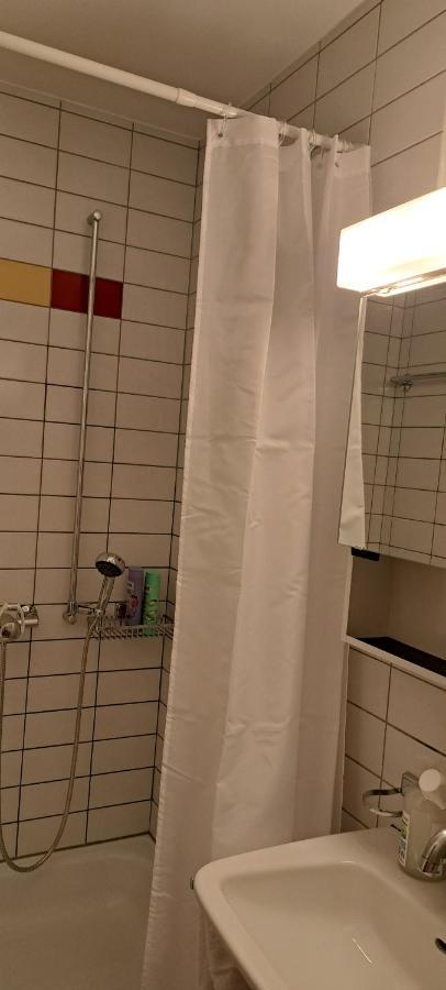 Sonniges 1-zimmerappartement Mit Blick Ueber *